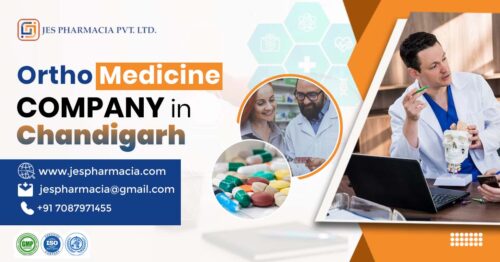 Ortho Medicine company in Chandigarh