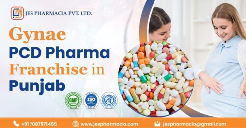 Gynae PCD Pharma Franchise in Punjab